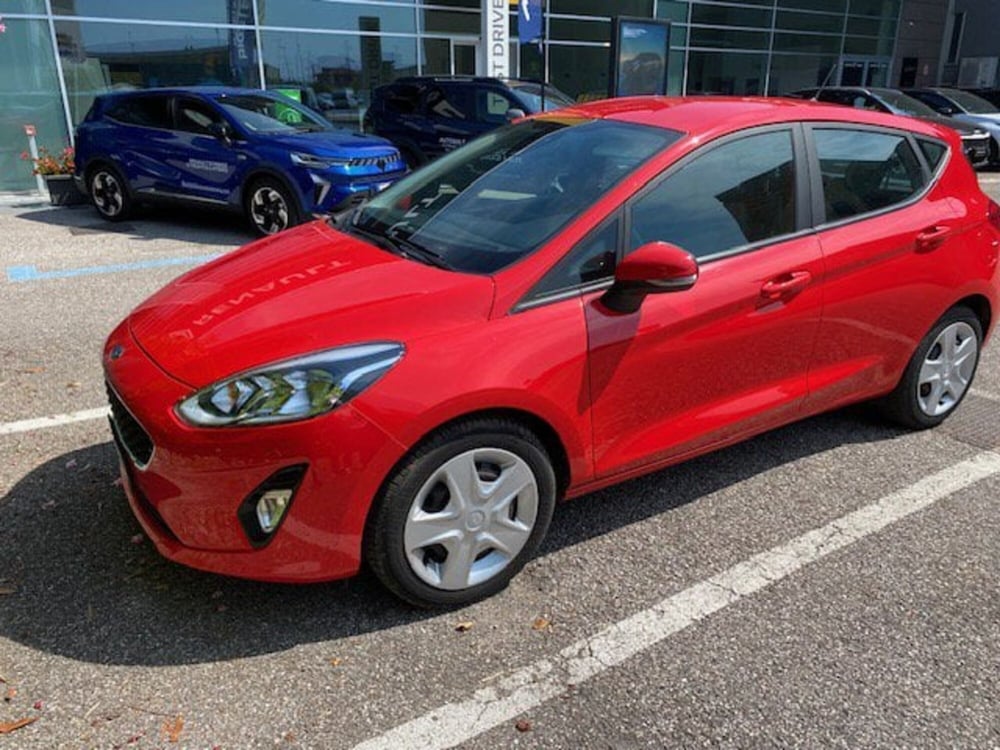 Ford Fiesta usata a Verona (2)