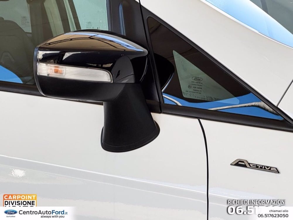 Ford EcoSport usata a Roma (15)