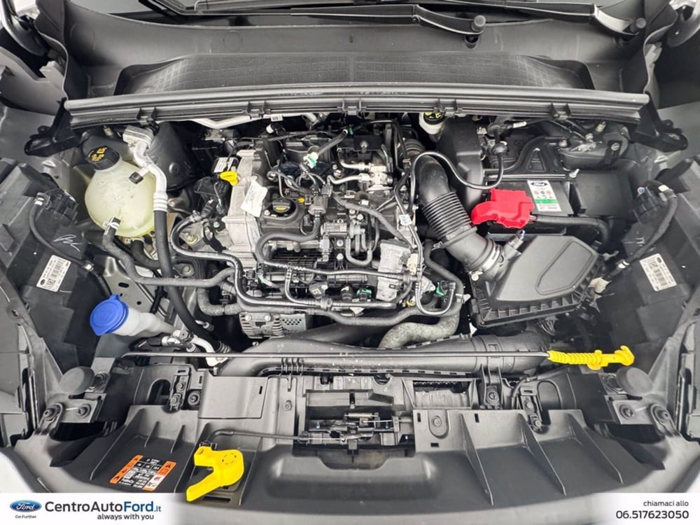 Ford Puma usata a Roma (13)