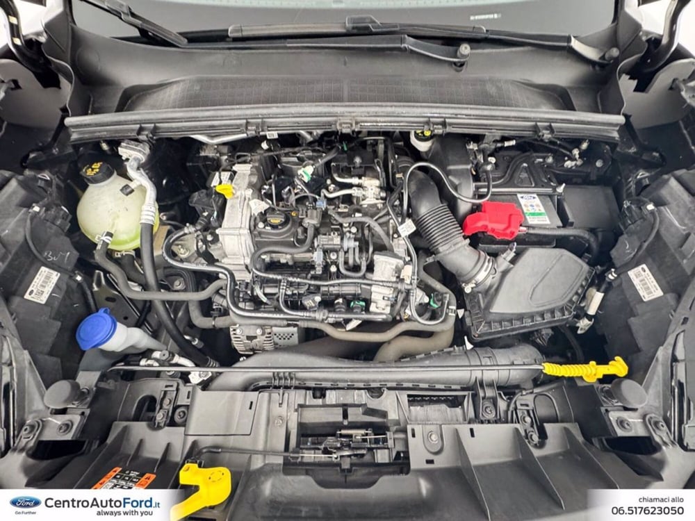 Ford Puma usata a Roma (12)