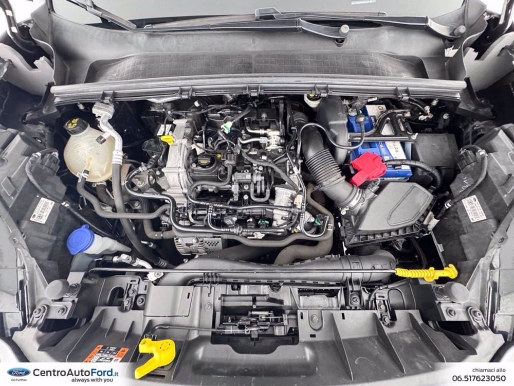 Ford Puma usata a Roma (12)