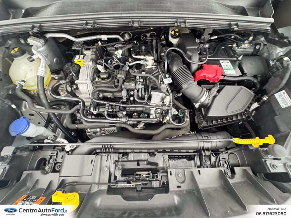 Ford Puma usata a Roma (12)