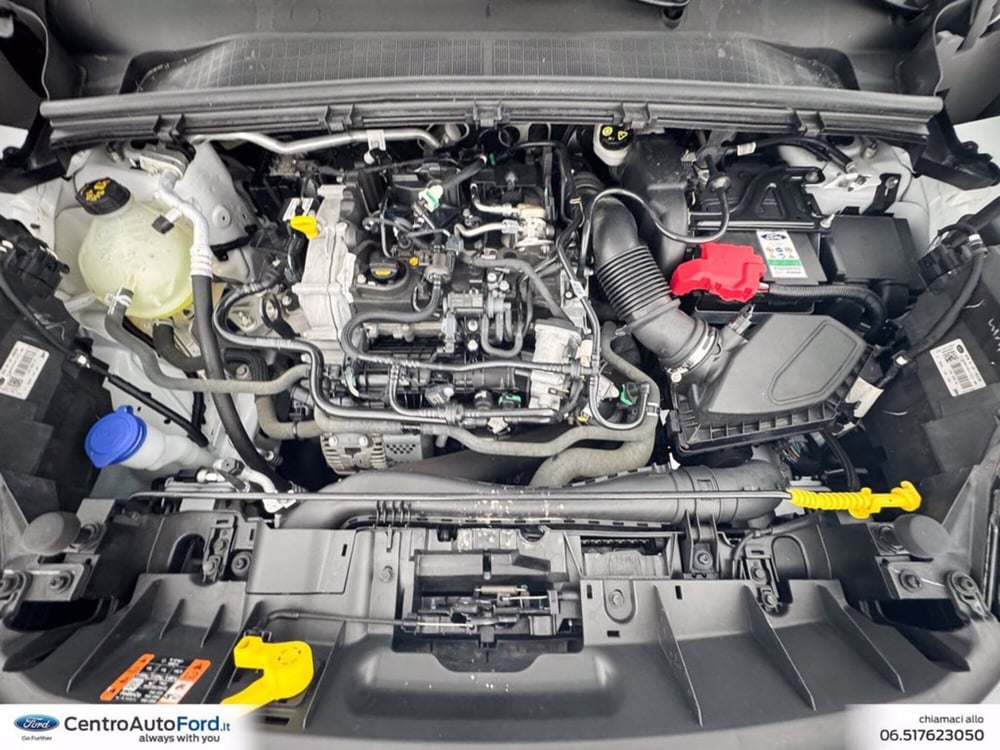 Ford Puma usata a Roma (12)