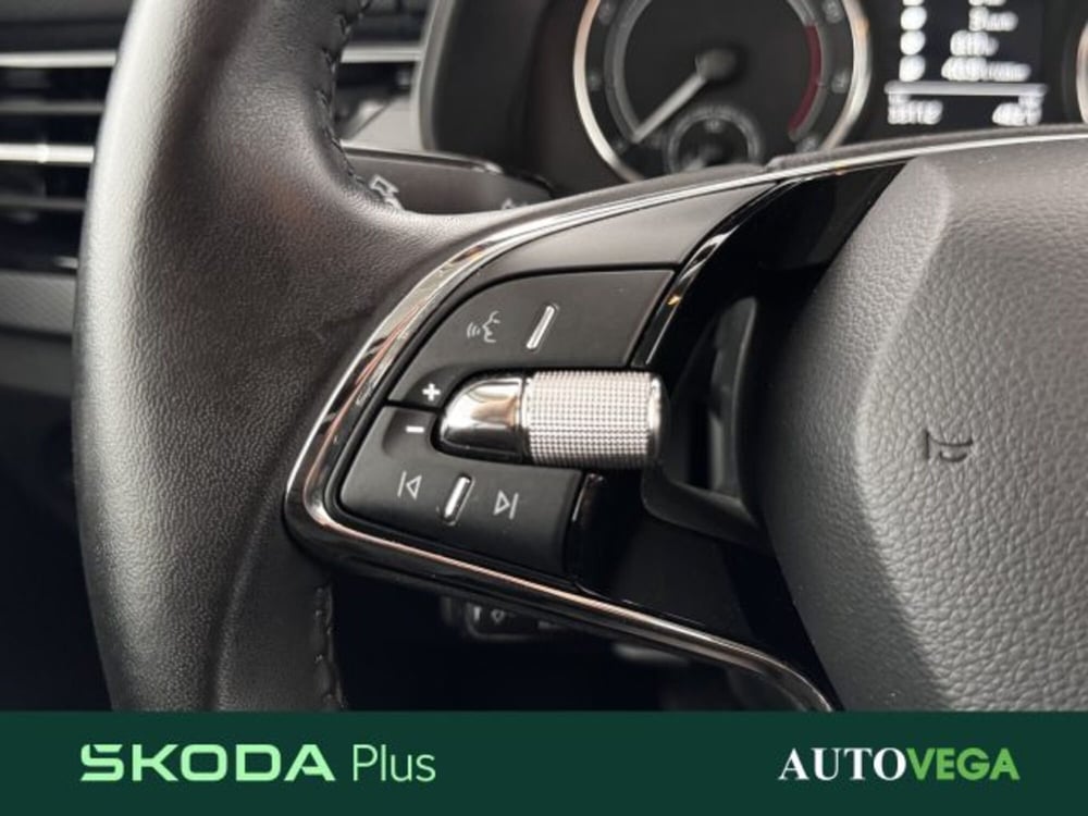 Skoda Kamiq usata a Vicenza (18)