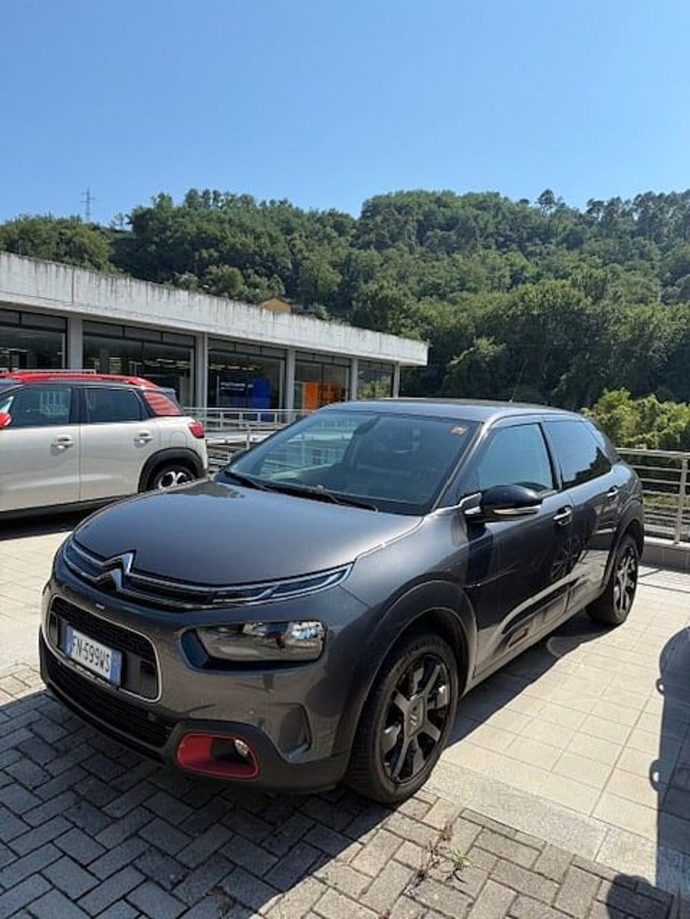 Citroen C4 Cactus usata a La Spezia (2)