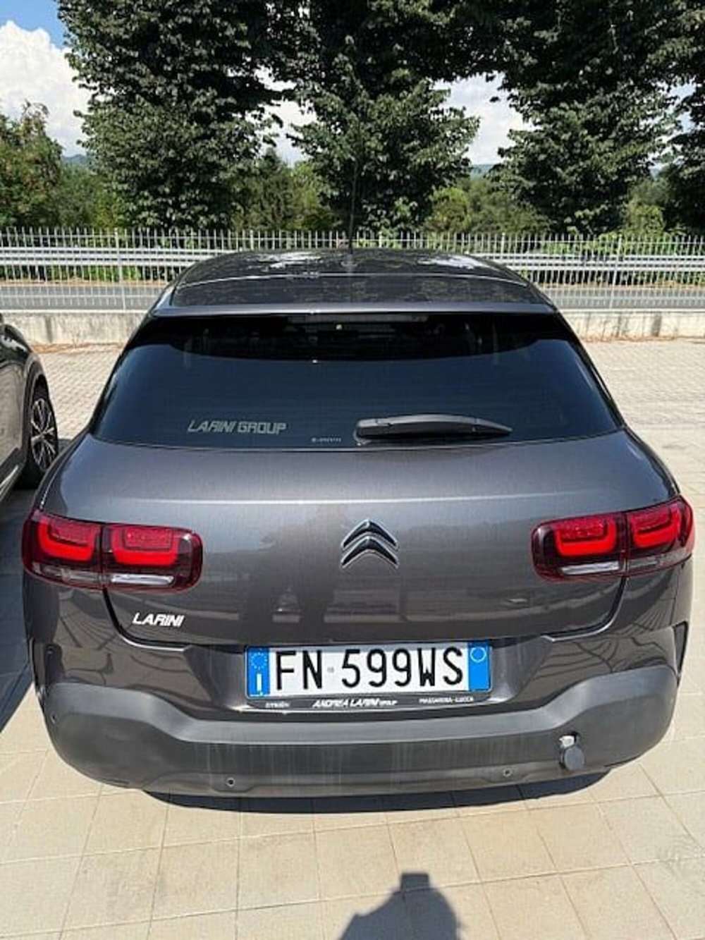 Citroen C4 Cactus usata a La Spezia (4)