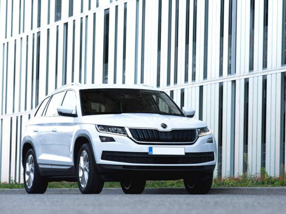 Skoda Kodiaq usata a Sondrio (2)