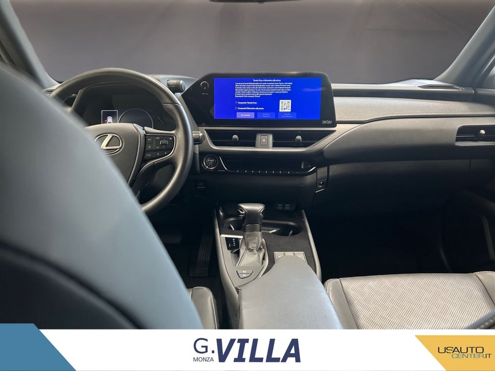 Lexus UX usata a Monza e Brianza (11)