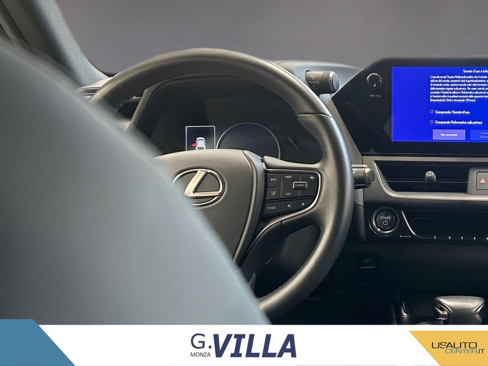 Lexus UX usata a Monza e Brianza (12)