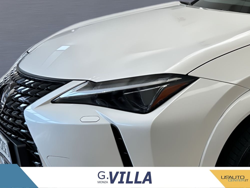 Lexus UX usata a Monza e Brianza (2)