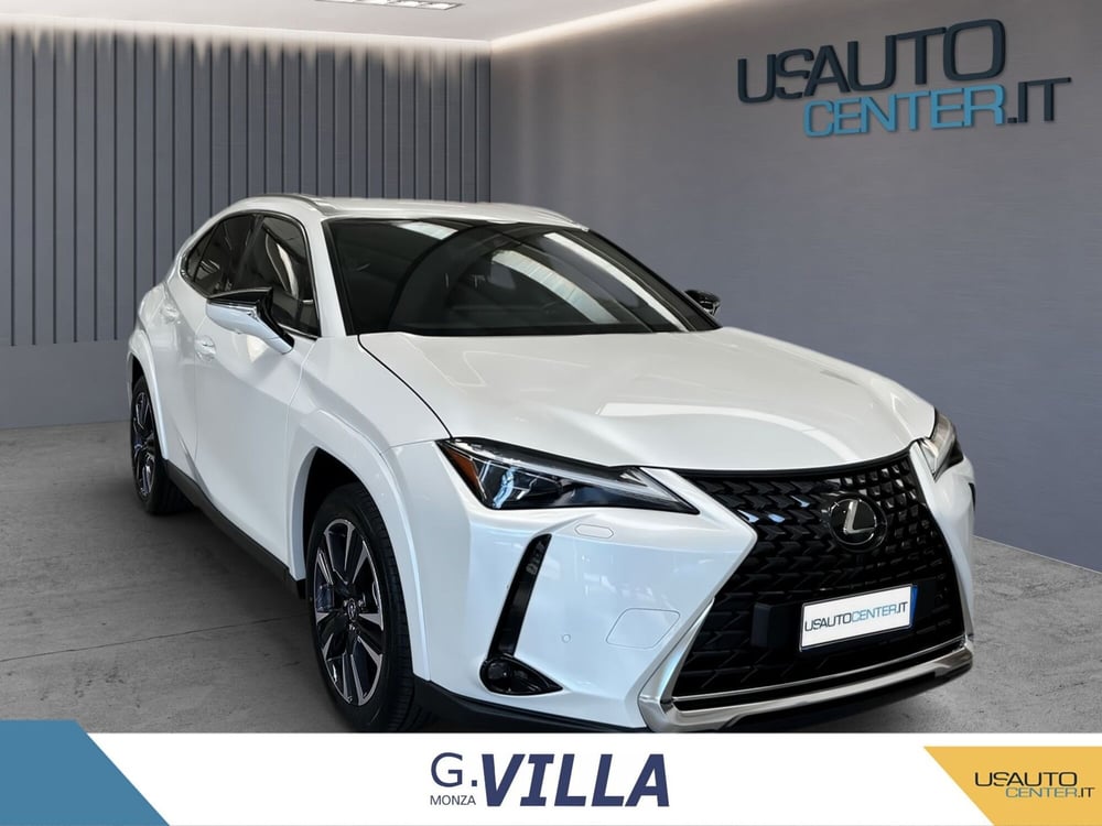 Lexus UX usata a Monza e Brianza (4)
