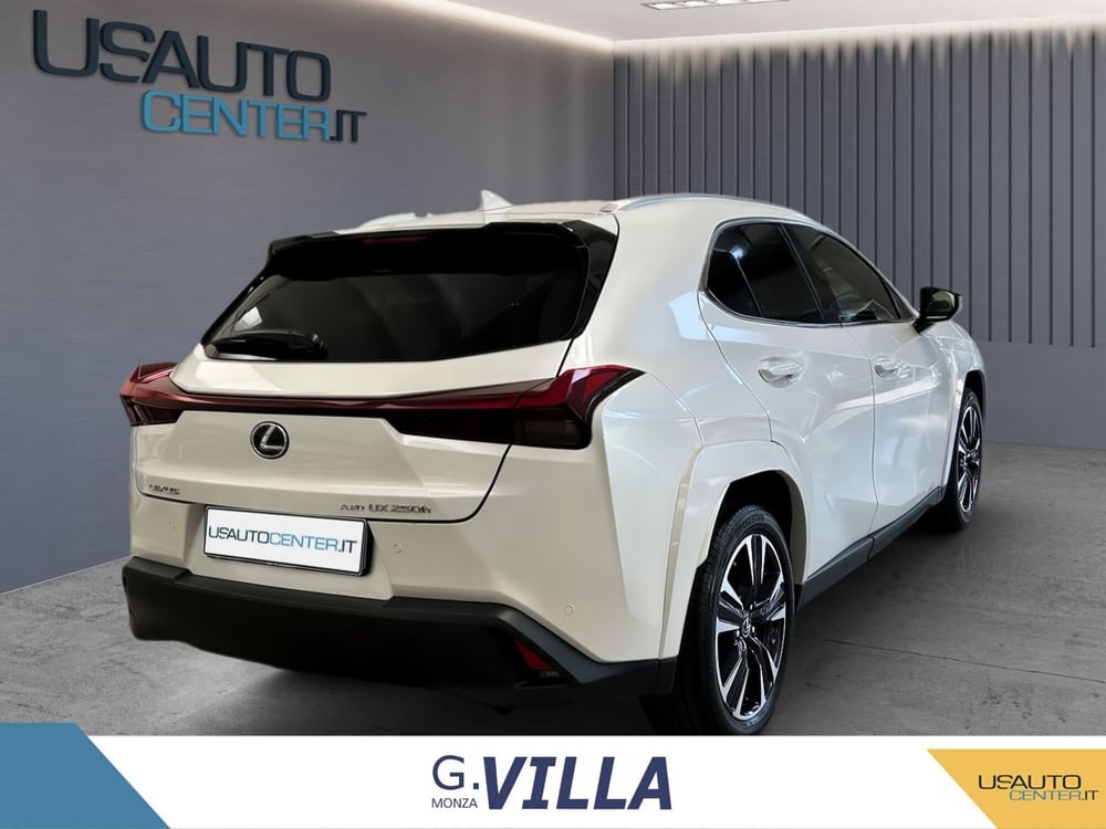 Lexus UX usata a Monza e Brianza (5)