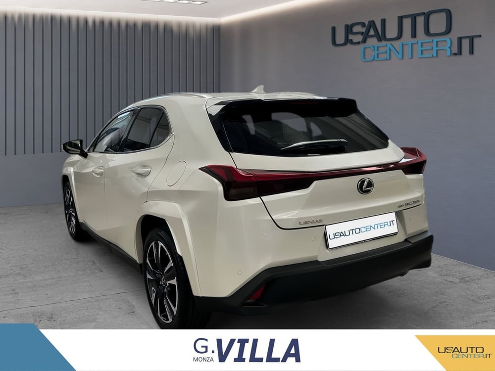 Lexus UX usata a Monza e Brianza (6)