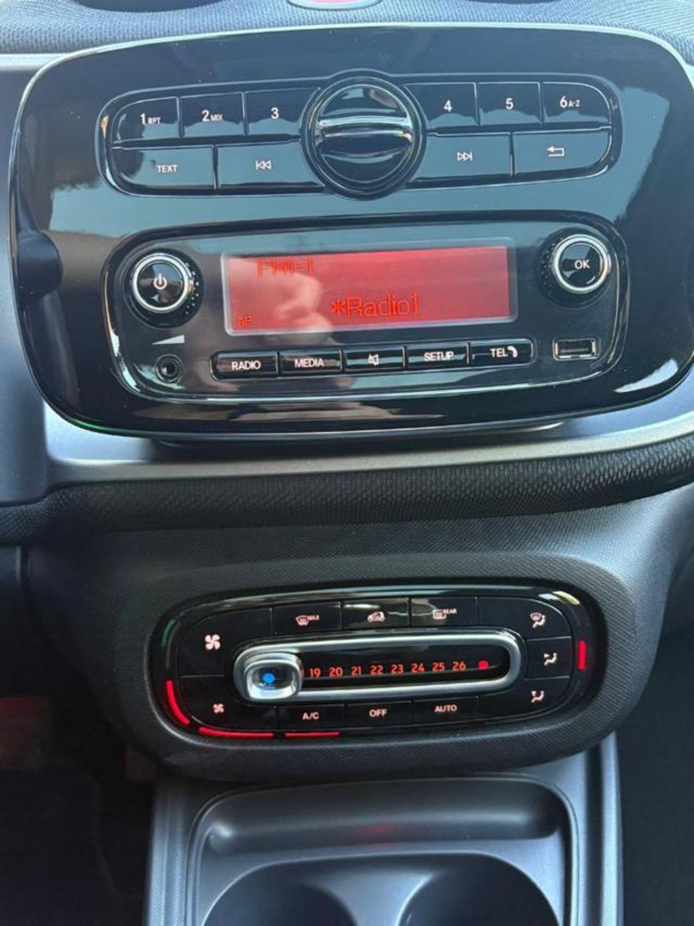 smart forfour usata a Roma (17)