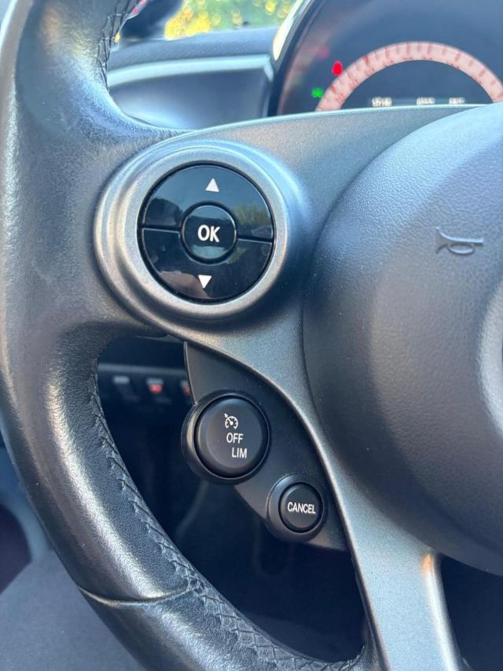 smart forfour usata a Roma (19)