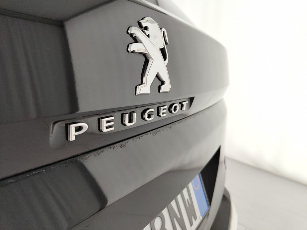 Peugeot 3008 usata a Caserta (10)