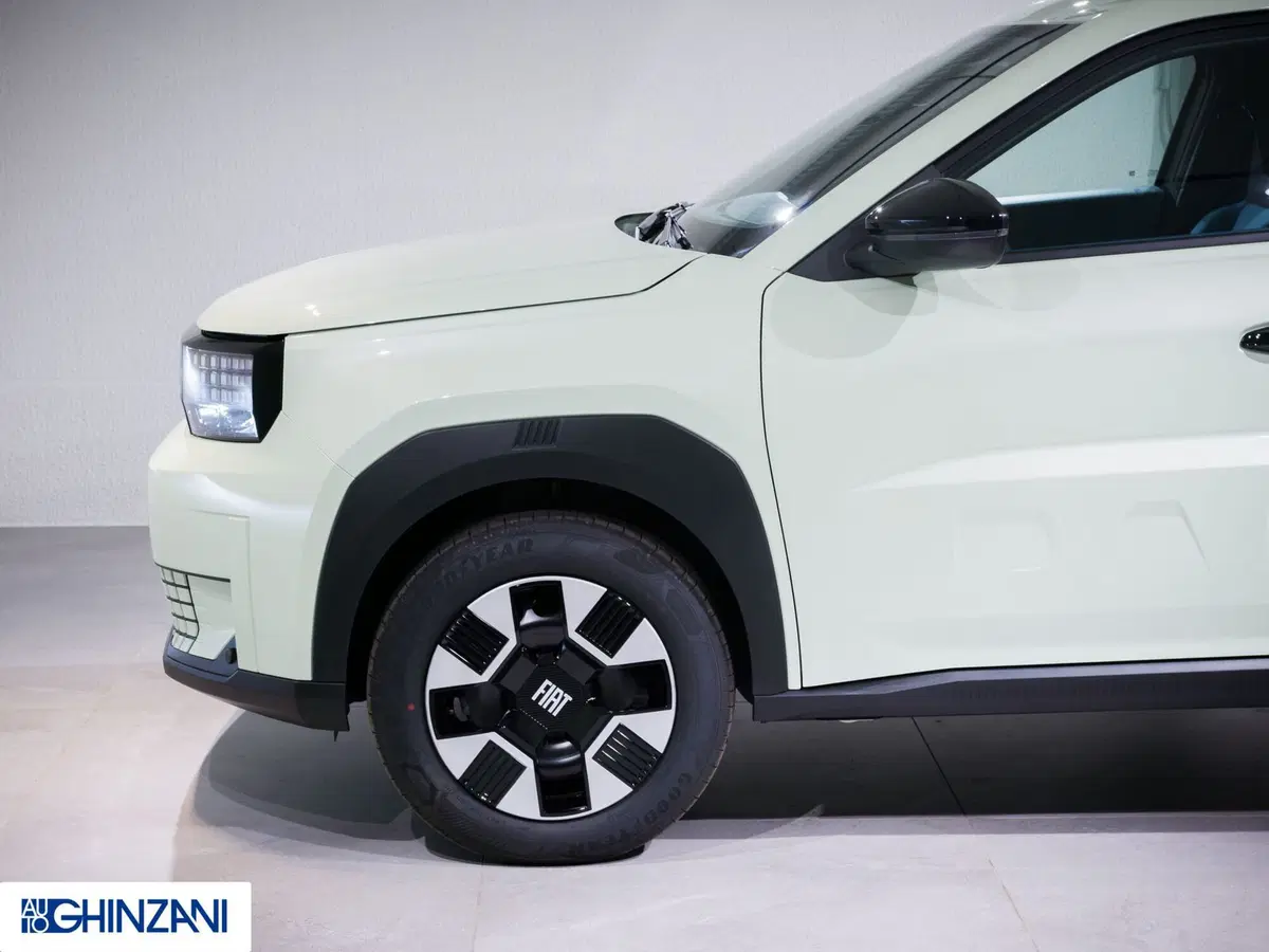 Fiat Grande Panda nuova a Bergamo (9)