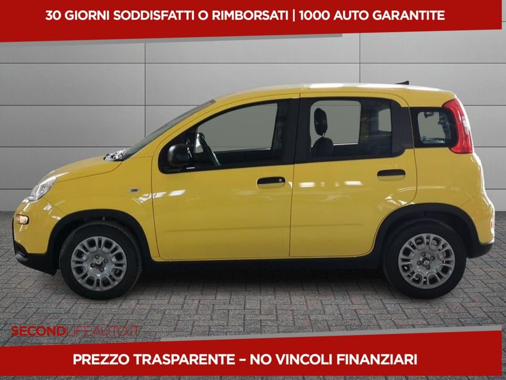 Fiat Panda nuova a Chieti (2)