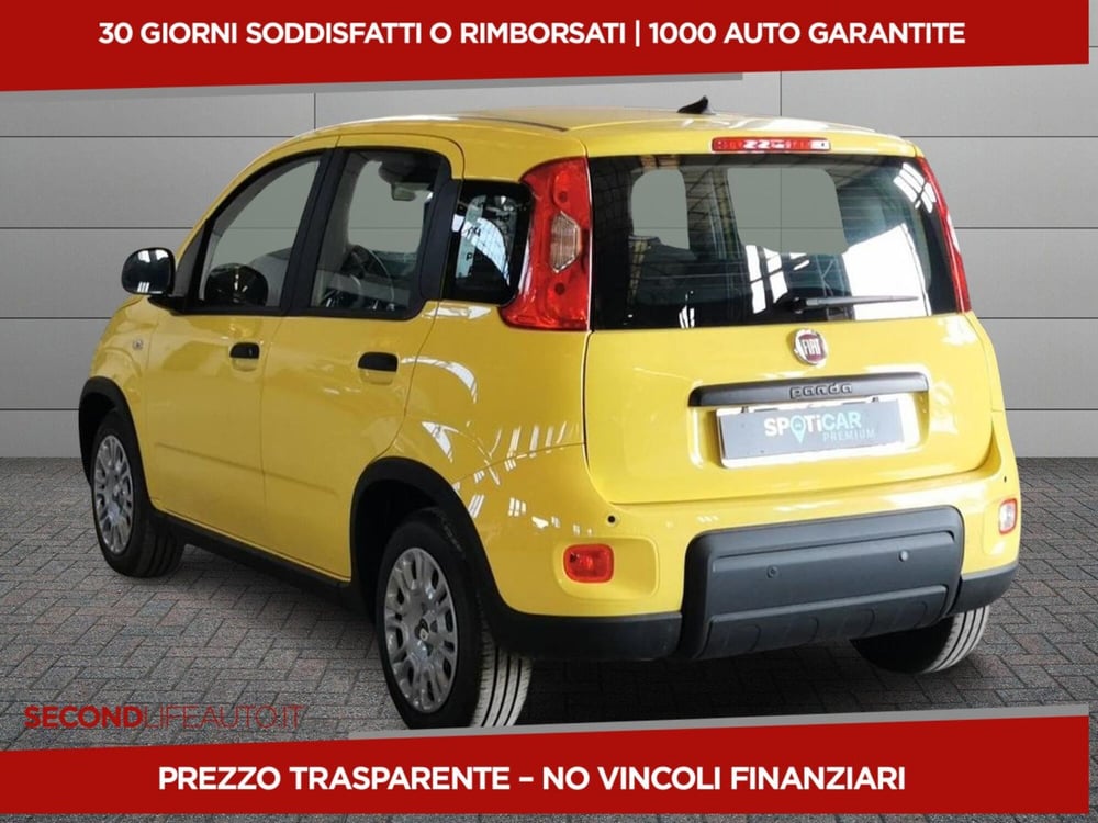 Fiat Panda nuova a Chieti (4)