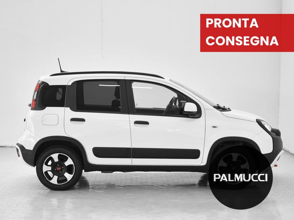 Fiat Panda Cross usata a Prato (5)