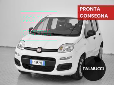 Fiat Panda 1.2 Easy del 2019 usata a Prato