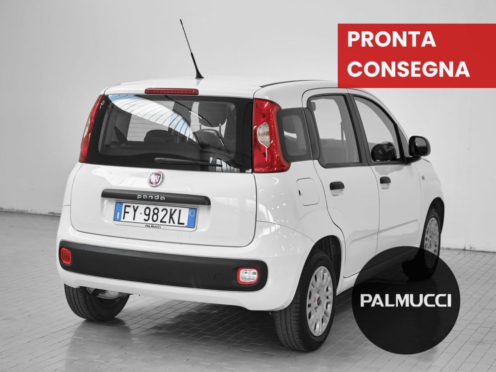 Fiat Panda usata a Prato (2)