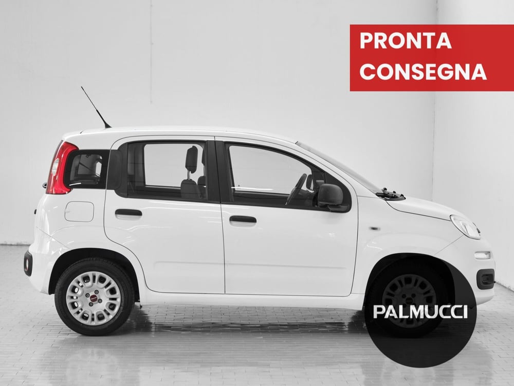 Fiat Panda usata a Prato (3)