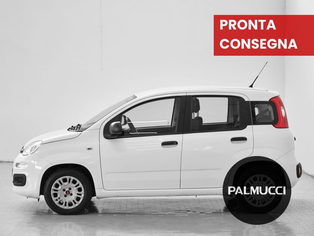 Fiat Panda usata a Prato (4)