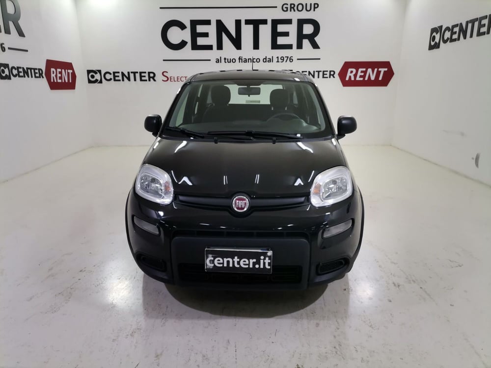 Fiat Panda usata a Salerno (2)