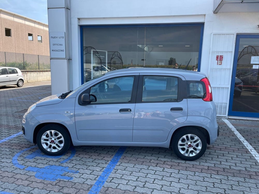 Fiat Panda usata a Cremona (2)