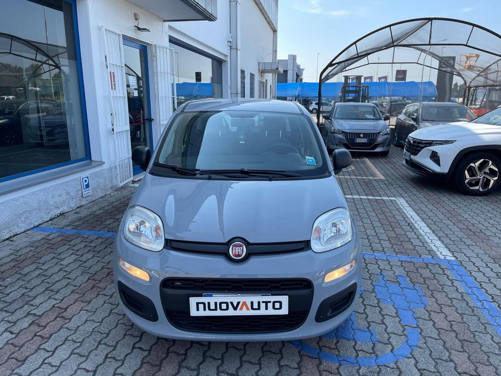 Fiat Panda usata a Cremona (4)