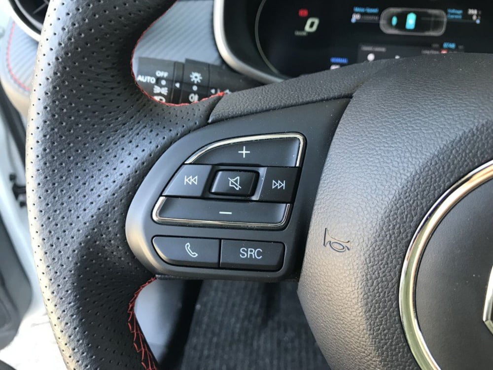 Mg ZS EV usata a Cuneo (18)