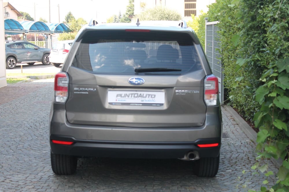 Subaru Forester usata a Cuneo (4)