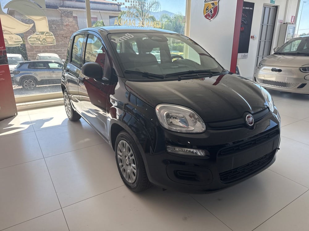 Fiat Panda nuova a Palermo (2)