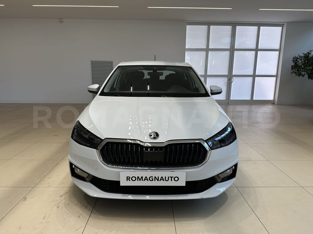 Skoda Fabia usata a Forlì-Cesena (2)