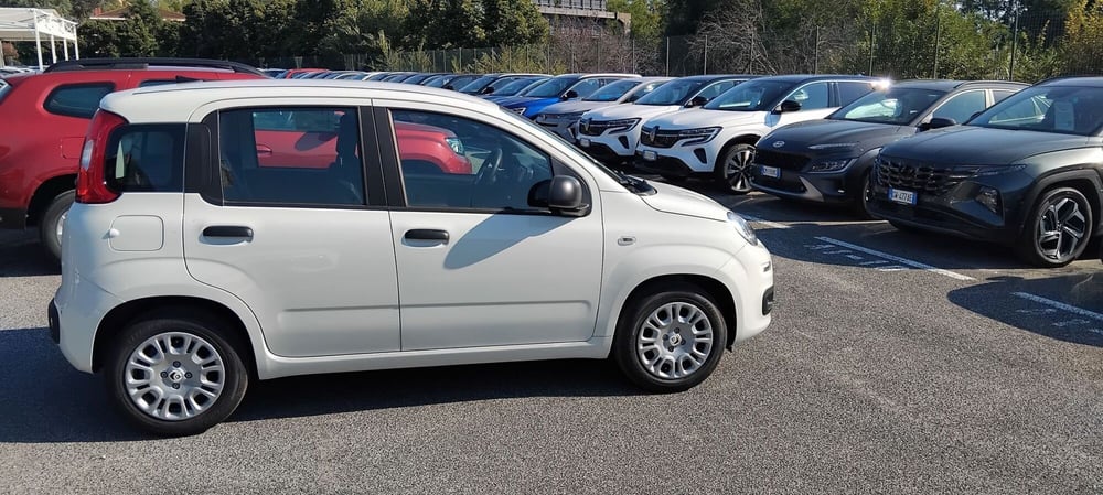 Fiat Panda nuova a Roma (6)