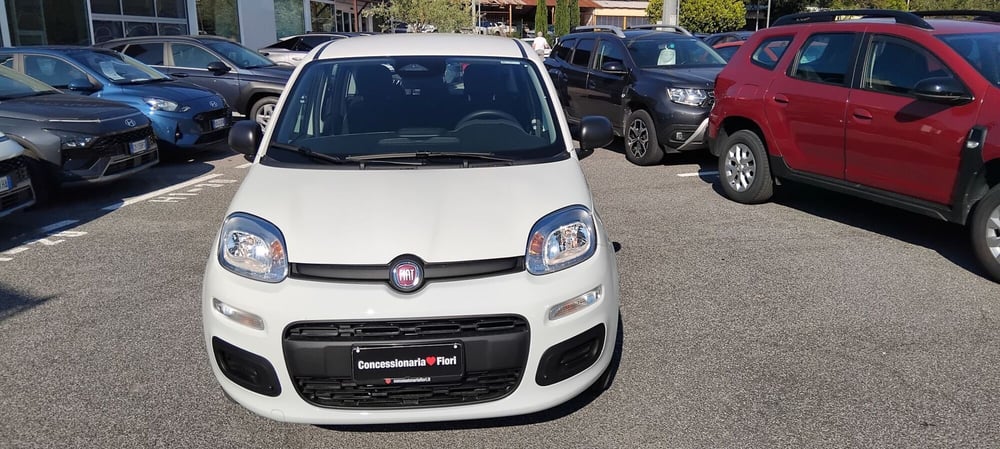 Fiat Panda nuova a Roma (7)