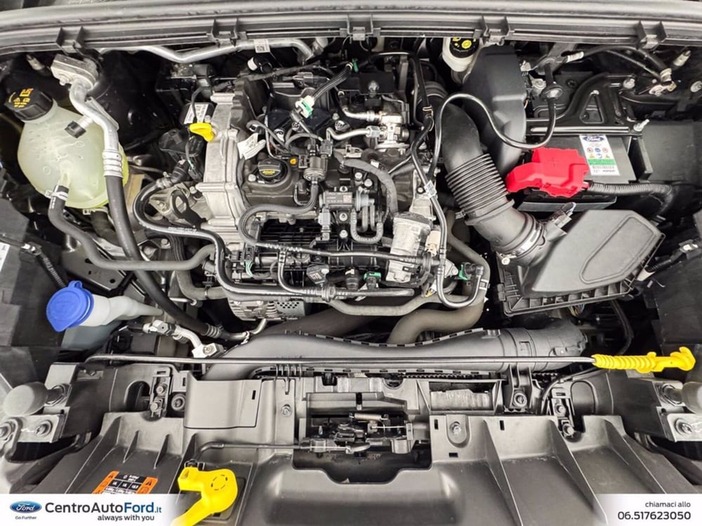 Ford Puma usata a Roma (12)