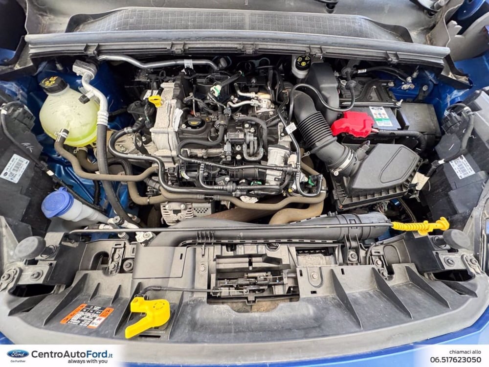 Ford Puma usata a Roma (13)