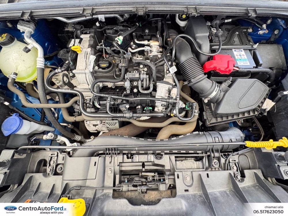 Ford Puma usata a Roma (20)