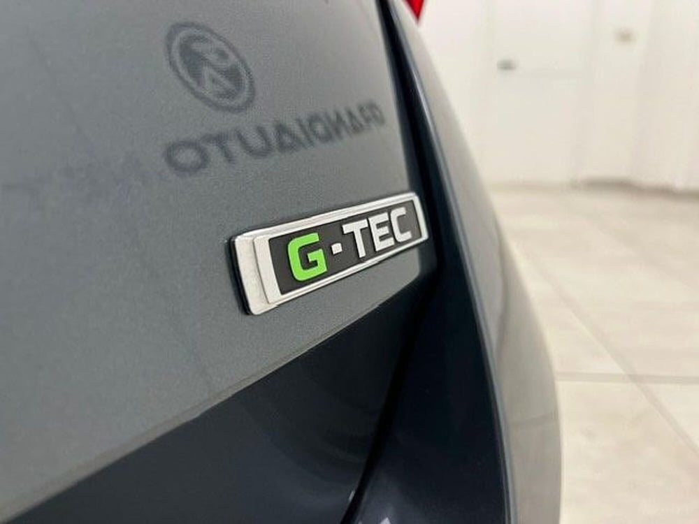 Skoda Octavia usata a Alessandria (16)