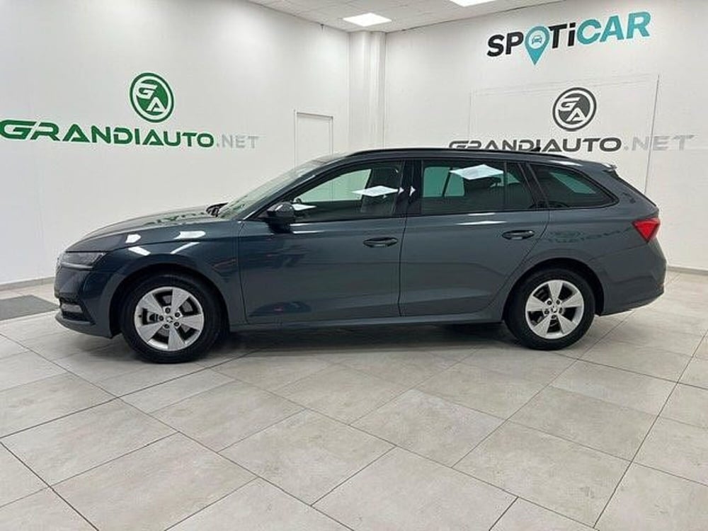 Skoda Octavia usata a Alessandria (2)