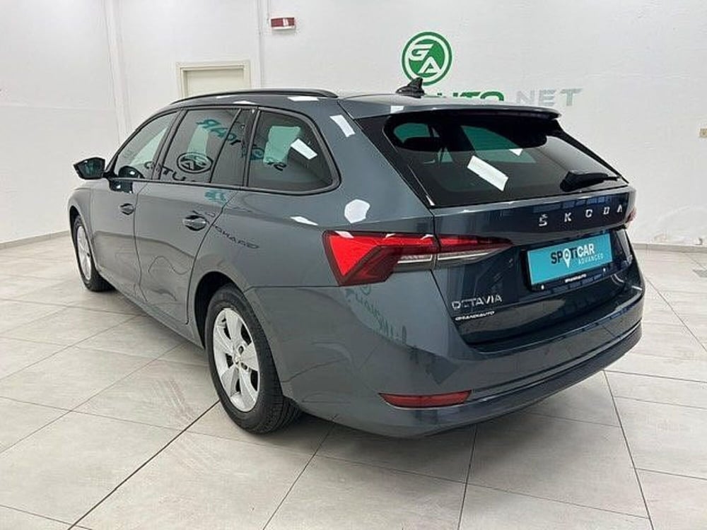Skoda Octavia usata a Alessandria (3)