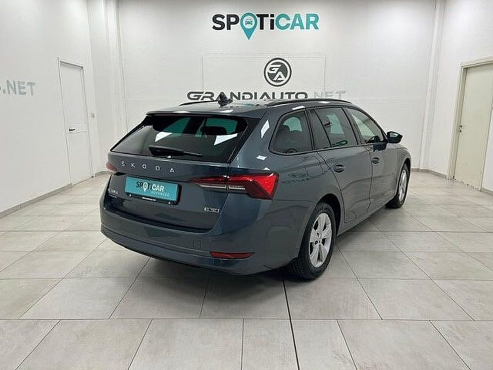 Skoda Octavia usata a Alessandria (4)
