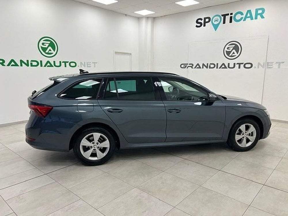Skoda Octavia usata a Alessandria (5)