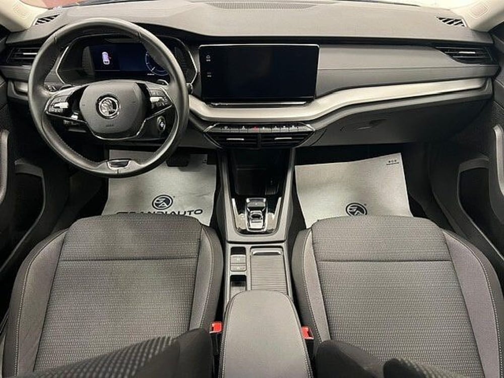 Skoda Octavia usata a Alessandria (6)
