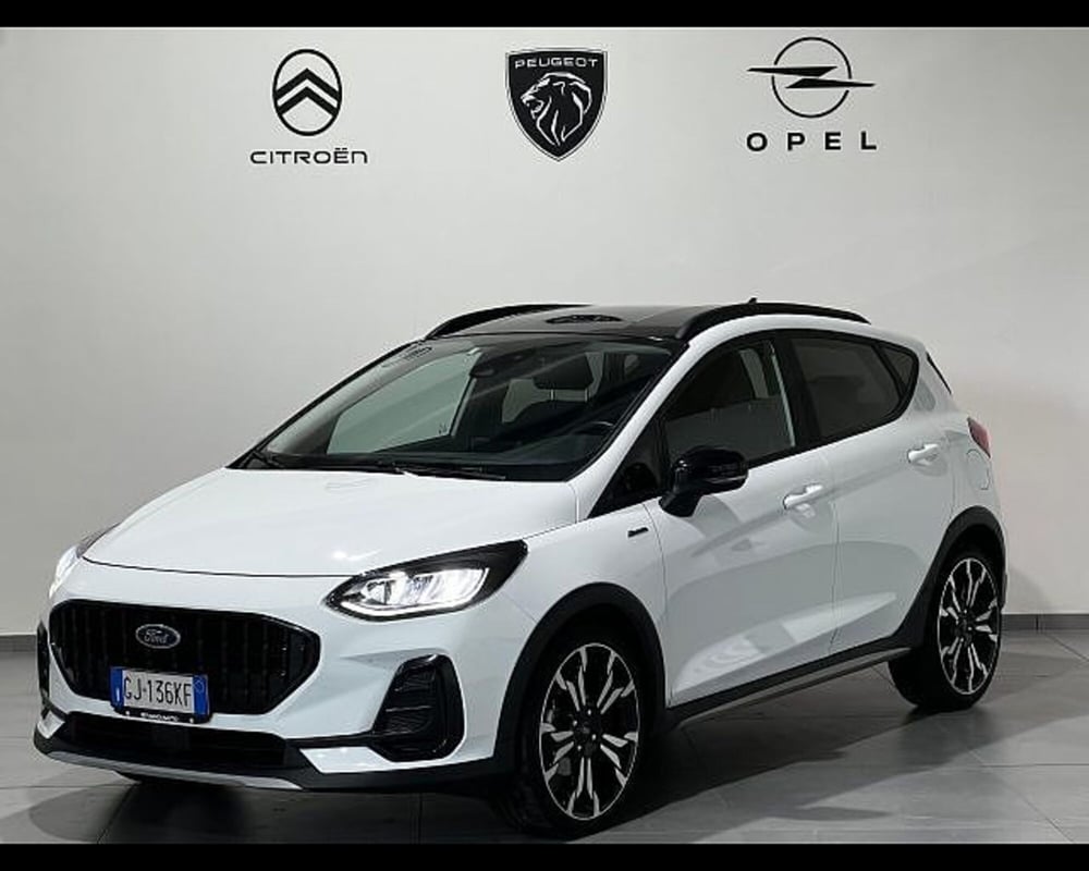 Ford Fiesta usata a Alessandria