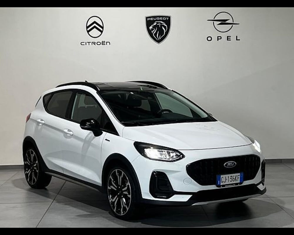 Ford Fiesta usata a Alessandria (3)