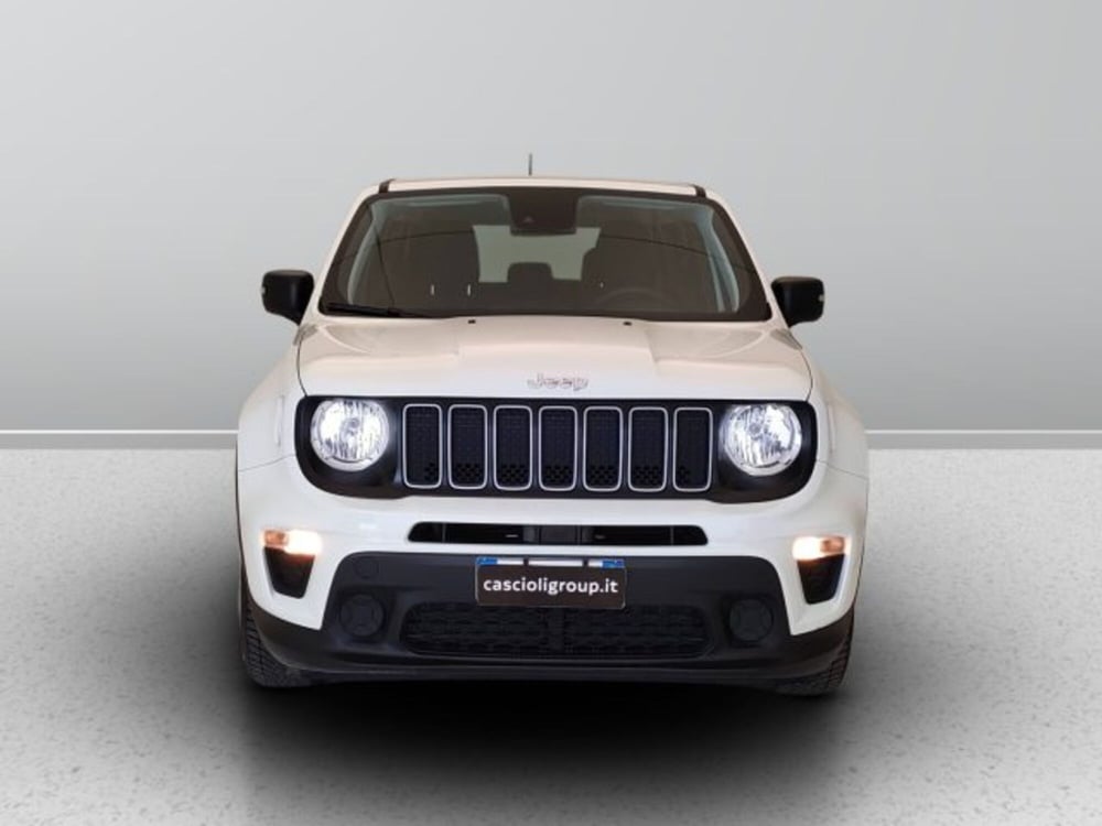 Jeep Renegade usata a Teramo (2)