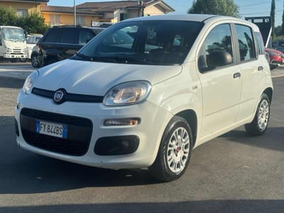 Fiat Panda 1.2 del 2019 usata a Massarosa